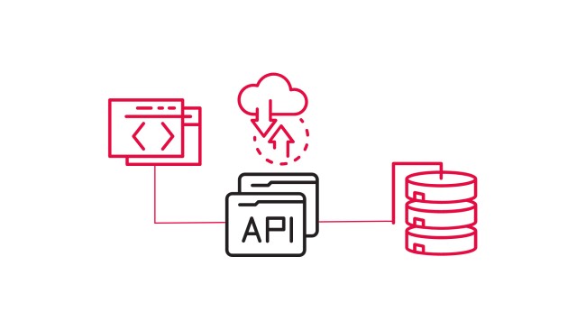 API integration service